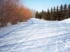 photo_2001MBChampionships_BlueTrailStart_JustGroomedSkate