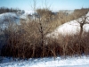 photo_2001MBChampionships_BlueYellowTrail_Ravine2
