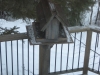 2011-03-05_FalconTrails_aMorning_DeckLake(1)