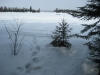 2011-03-06_FalconTrails_HikeJakePineRidge (3)