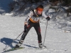 lappe2013_karly